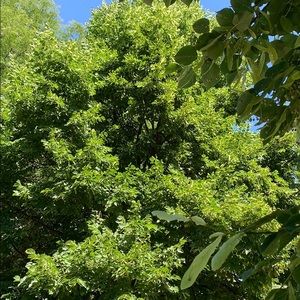 Meet your Posher, Alana